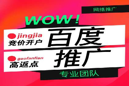 案例分析：百度推广成功案例解析